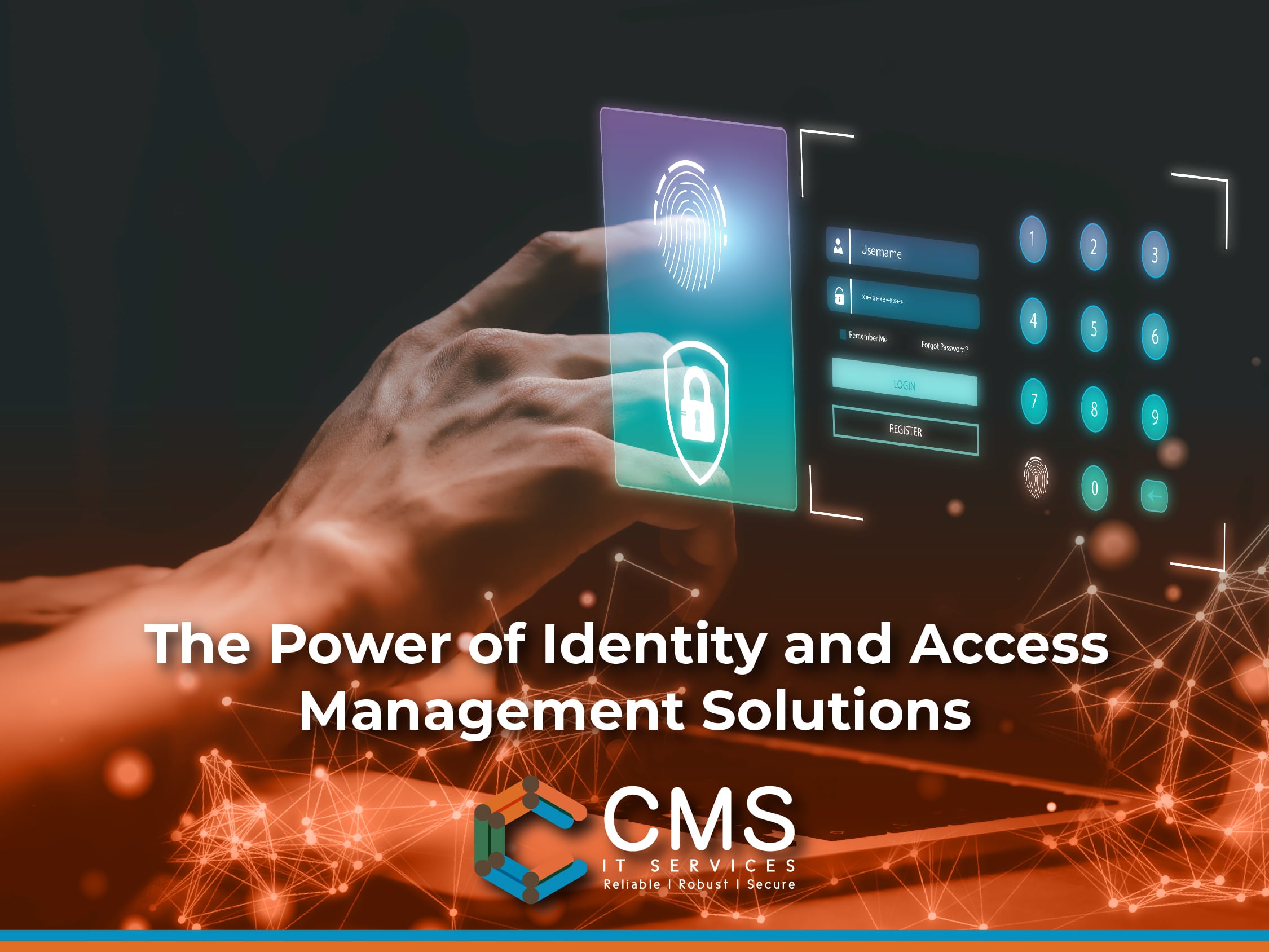 Identity and Access Management solutions